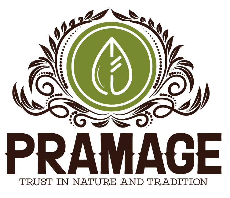 PRAMAGE_LOGO-01-2